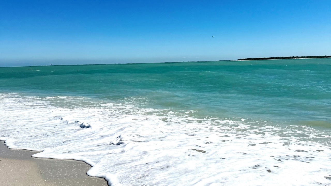 Photo of Others in Port Charlotte