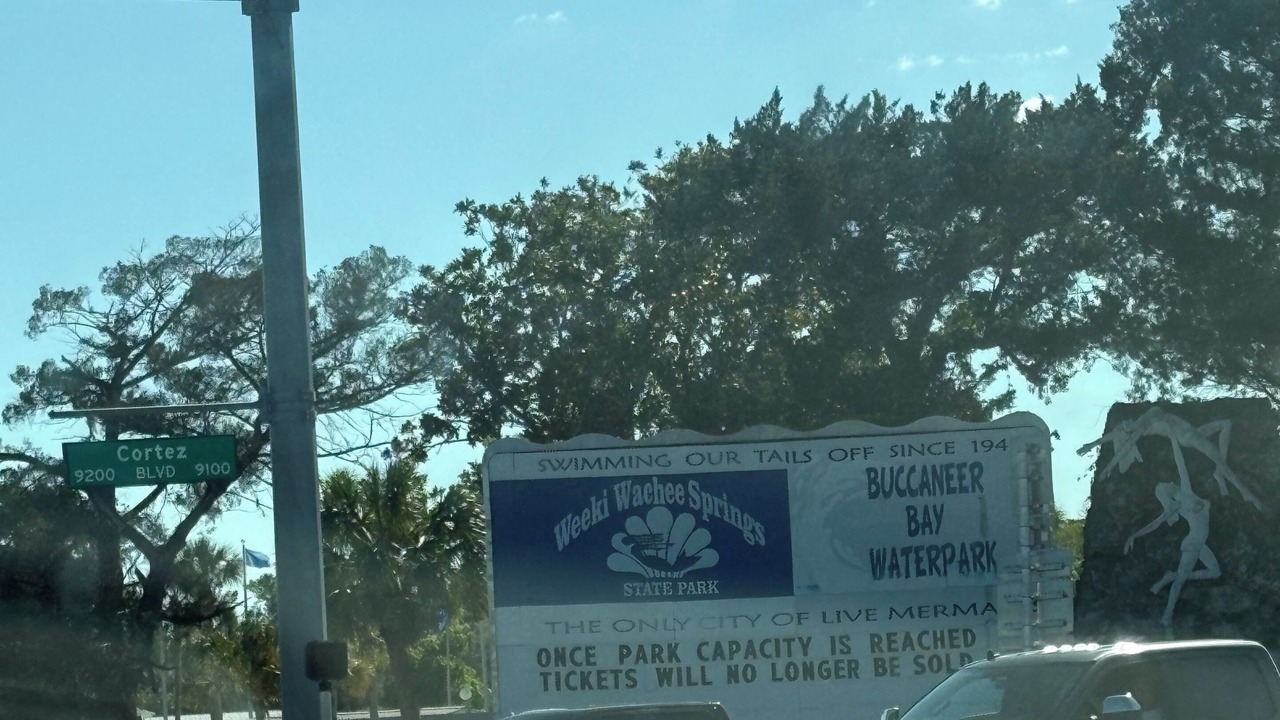 Photo of Others in Spring Hill