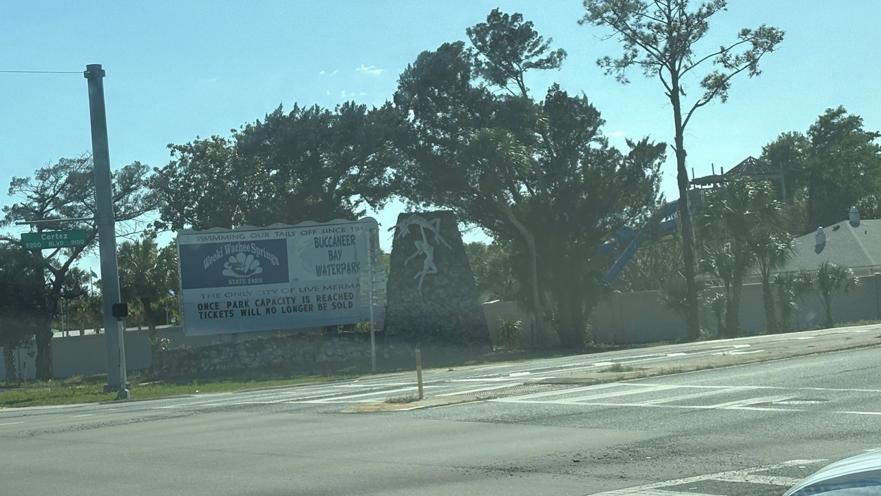 Photo of Others in Spring Hill