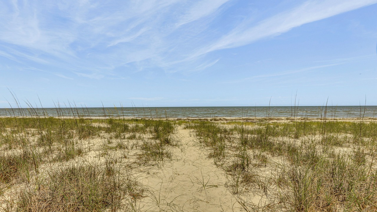 Photo of Others in Alligator Point