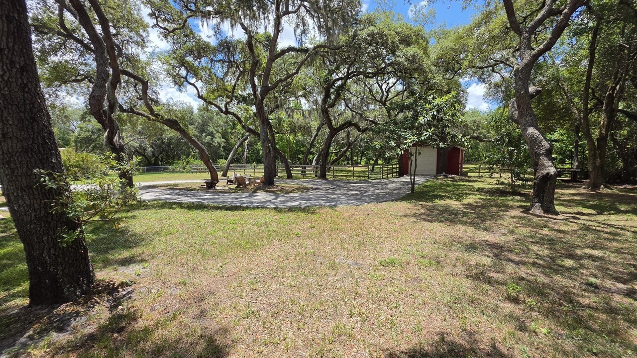 Photo of Outdoor in Port Richey