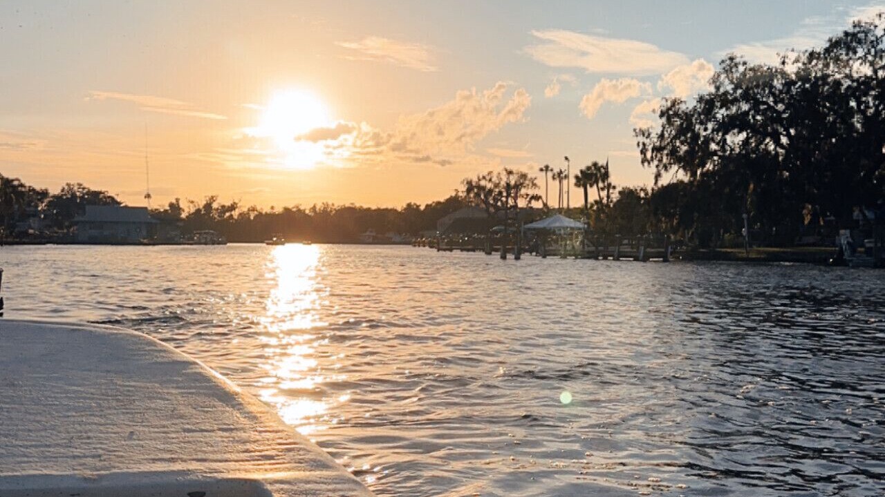 Photo of Others in Crystal River