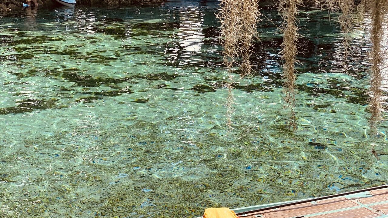 Photo of Others in Crystal River
