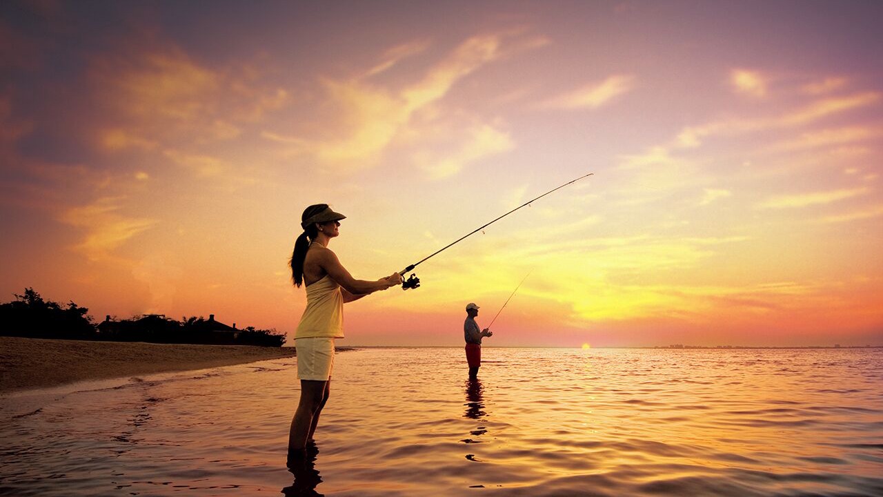 Photo of Others in Mid Island