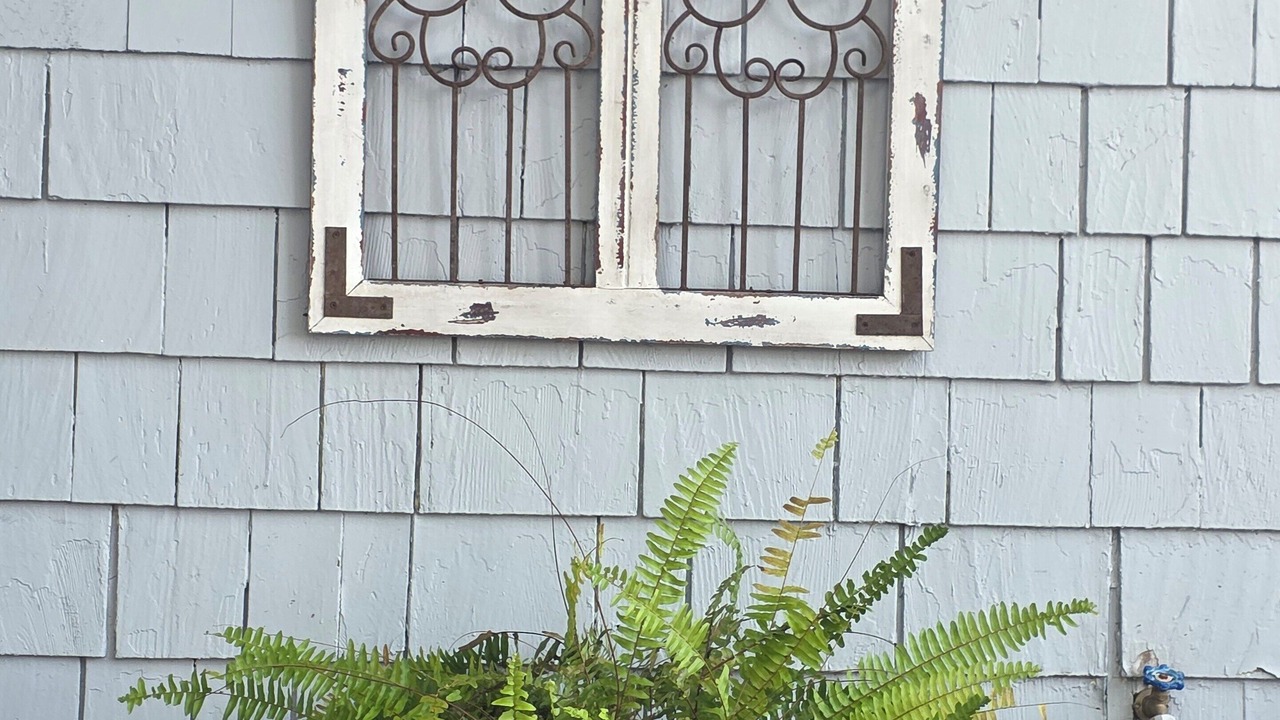 Photo of Outdoor in Bainbridge