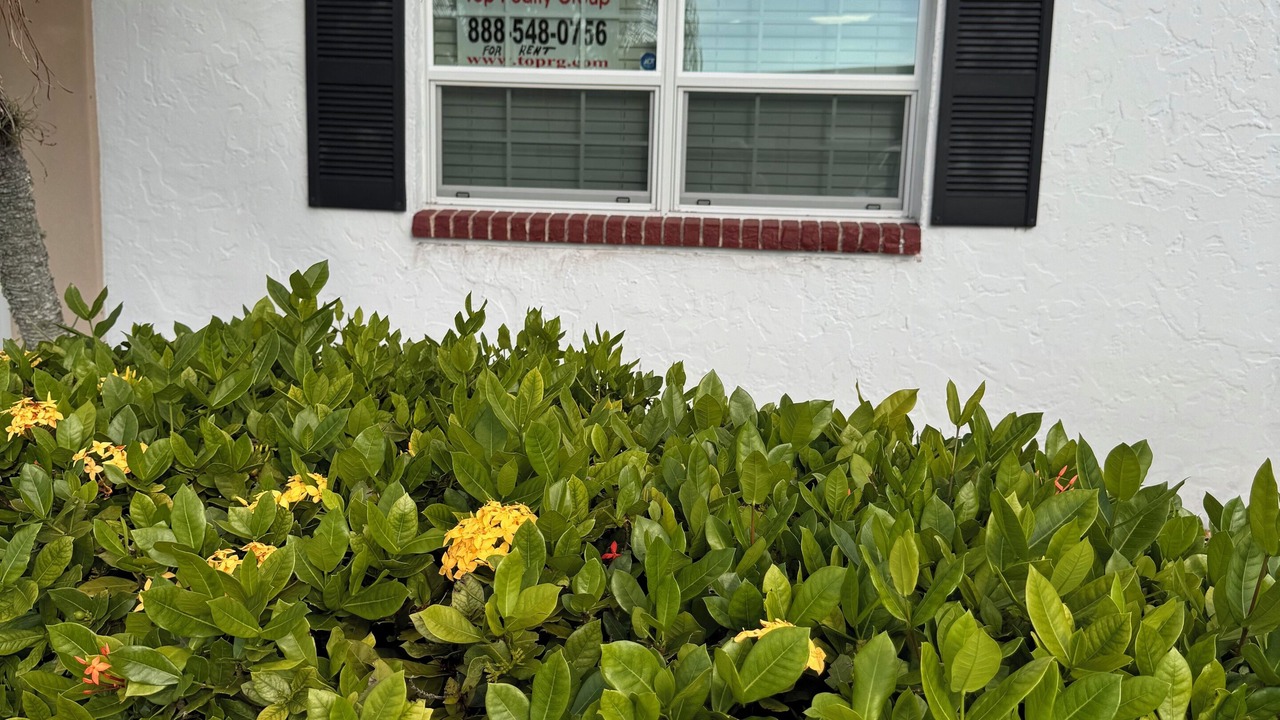 Photo of Outdoor in Cypress Lake