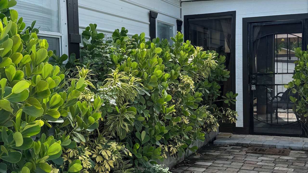 Photo of Outdoor in Delray Beach