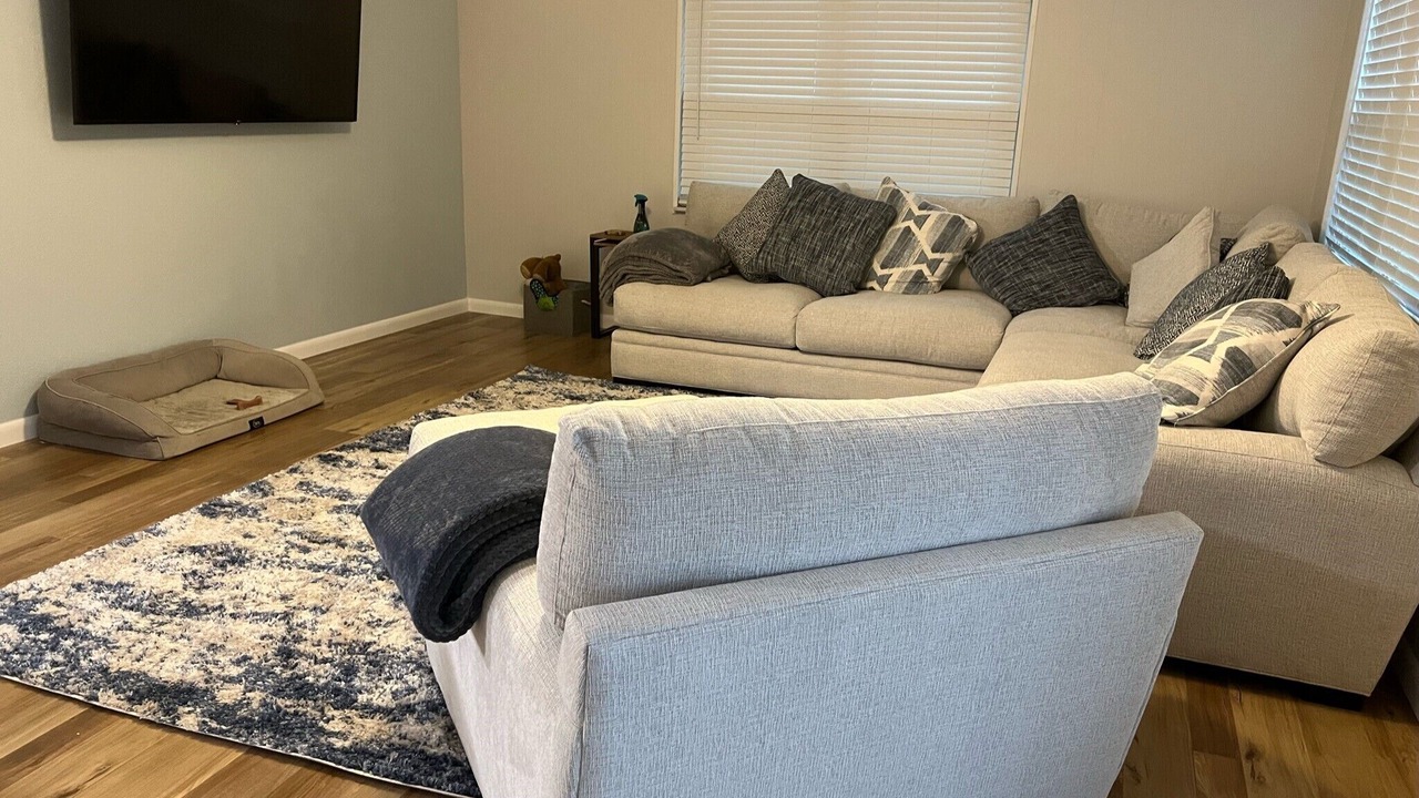 Photo of Livingroom in Pinellas Park