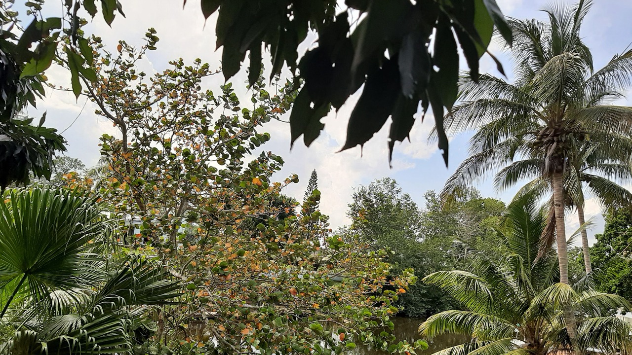 Photo of Outdoor in Port Saint Lucie