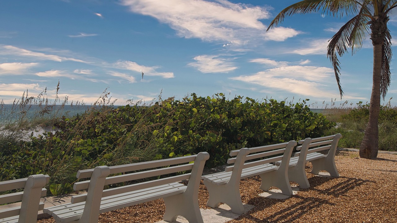 Photo of Others in Longboat Key