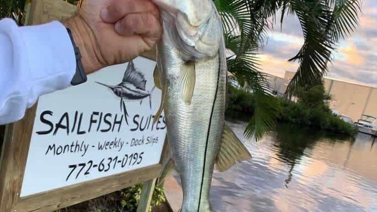 Photo of Others in Stuart