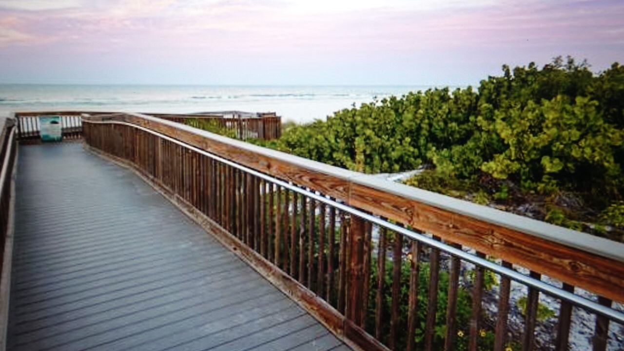 Photo of Outdoor in Marco Island
