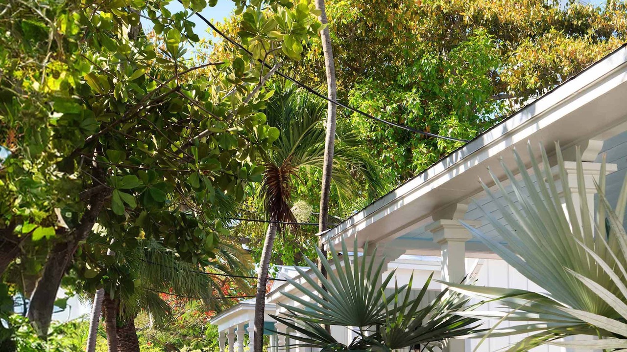 Photo of Outdoor in Old Town