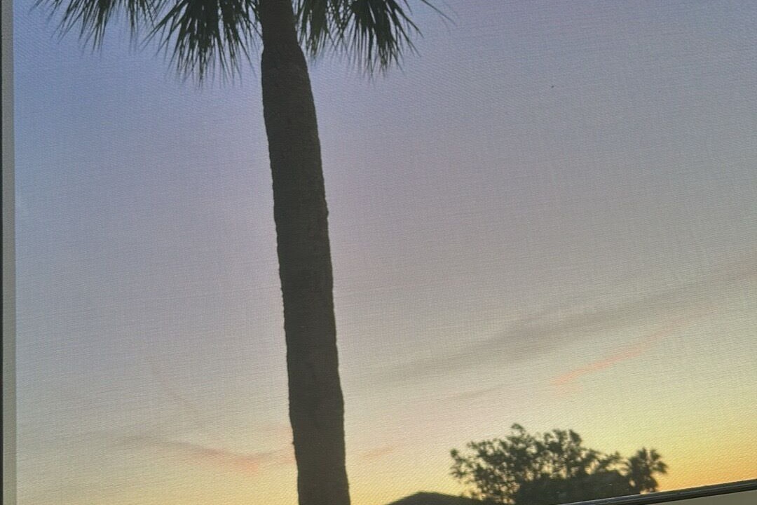 Photo of Others in New Port Richey