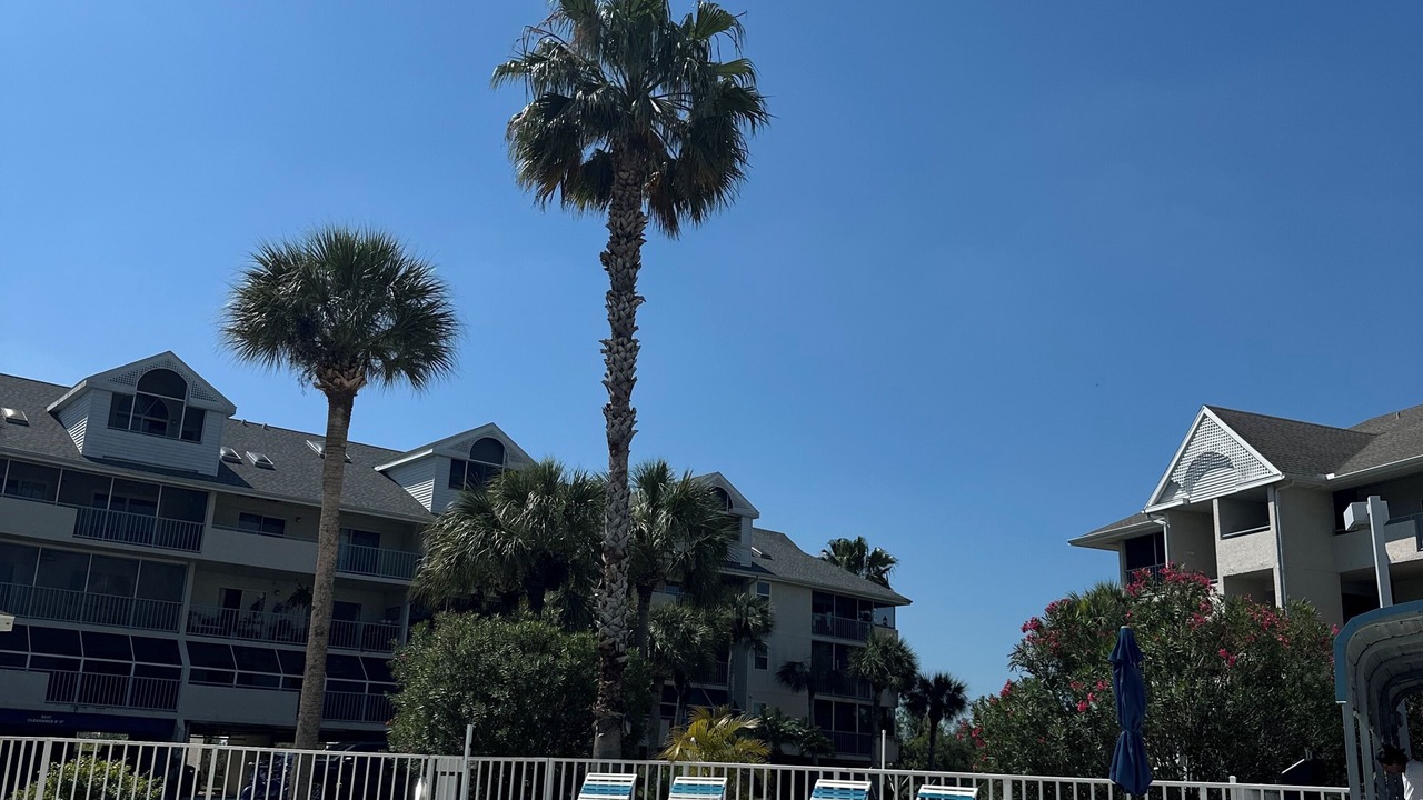 Photo of Outdoor in New Port Richey
