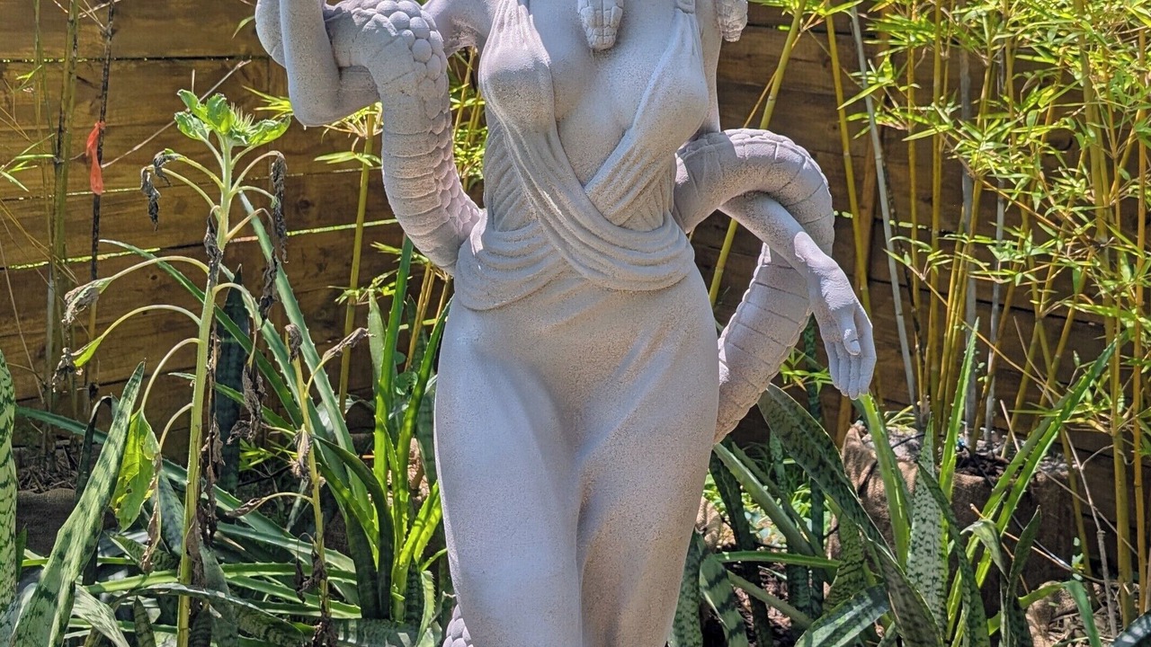 Photo of Outdoor in Tampa