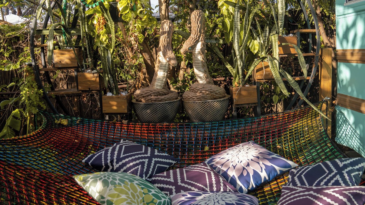 Photo of Outdoor in Tampa