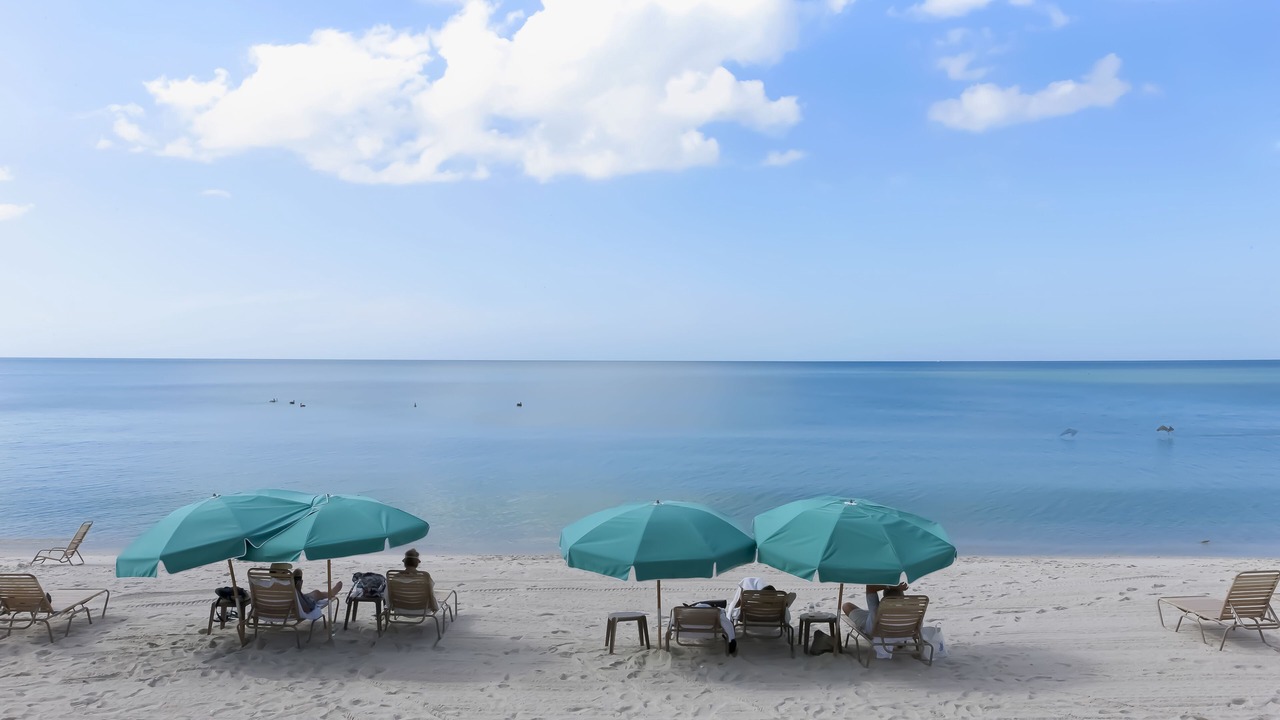 Photo of Others in Pelican Bay