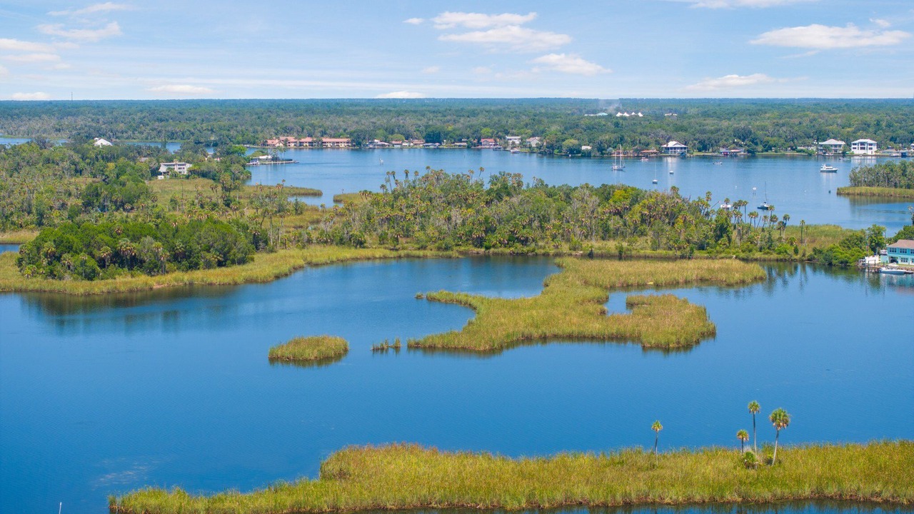 Photo of Outdoor in Crystal River