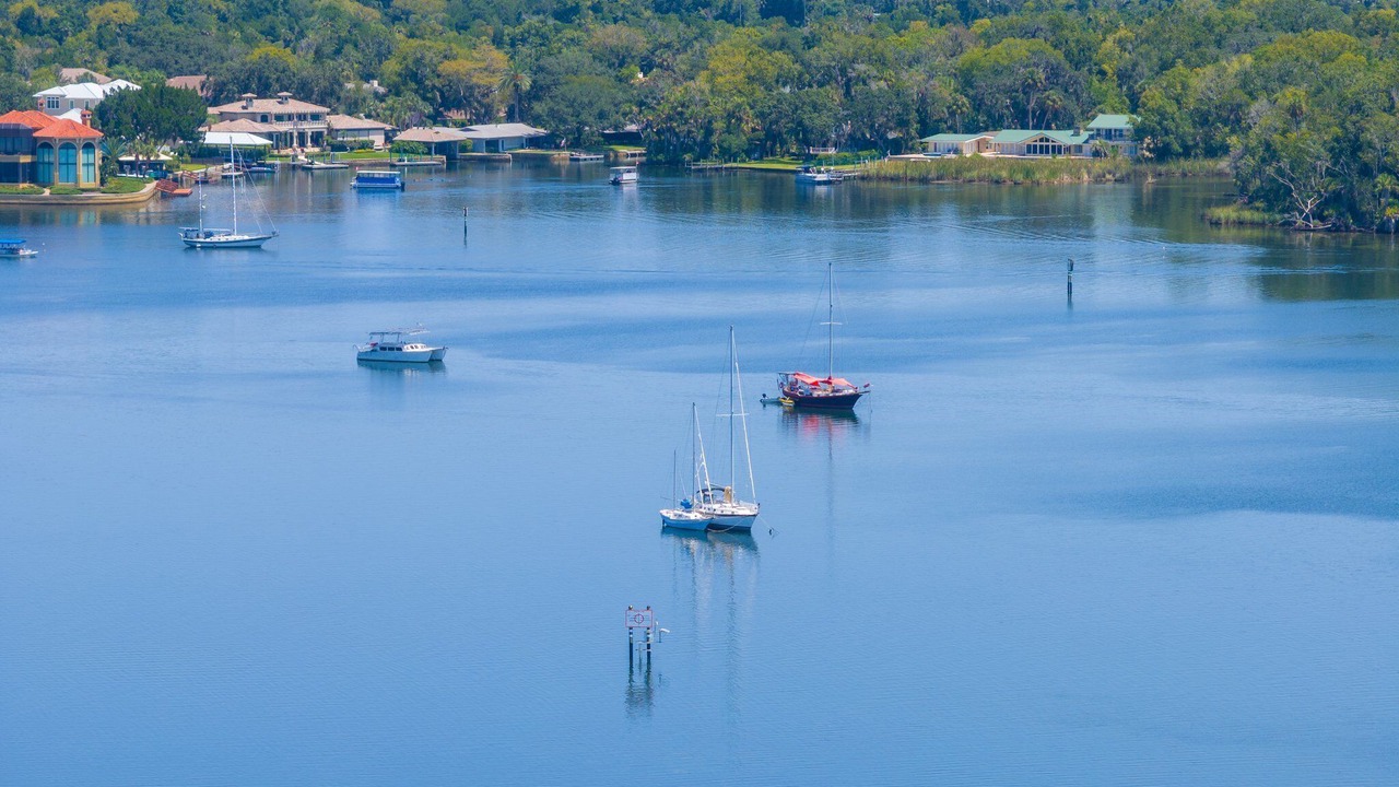 Photo of Others in Crystal River
