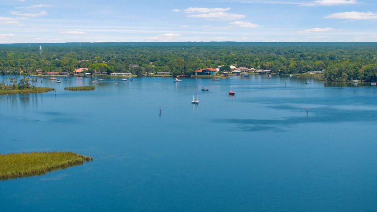 Photo of Others in Crystal River