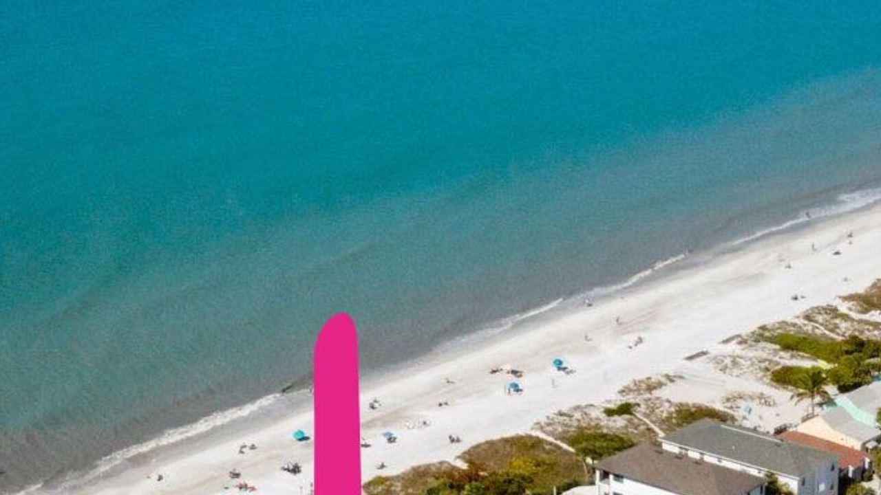 Photo of Others in Indian Rocks Beach