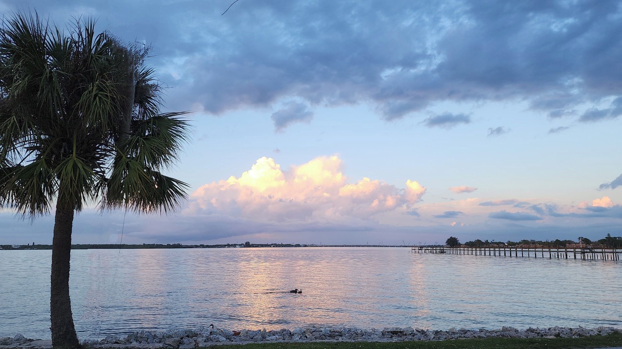 Photo of Others in Bradenton
