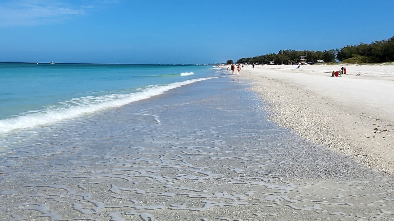 Photo of Others in Bradenton