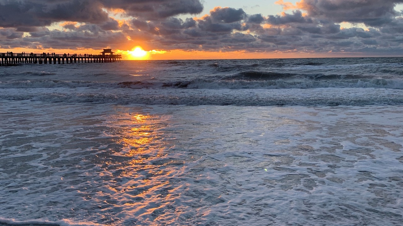 Photo of Others in East Naples