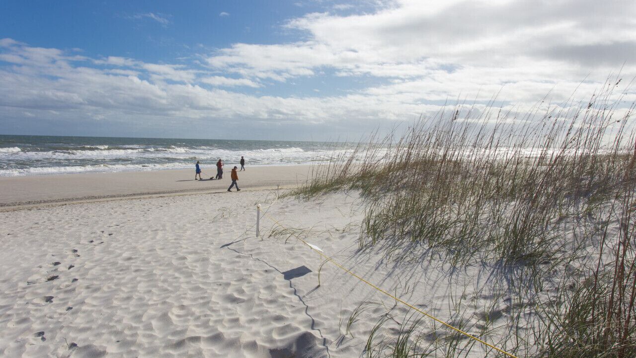 Photo of Others in Jacksonville Beach