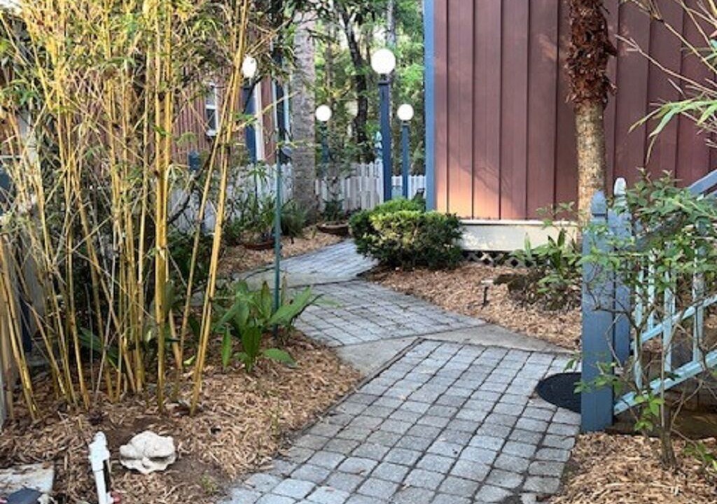Photo of Outdoor in Steinhatchee
