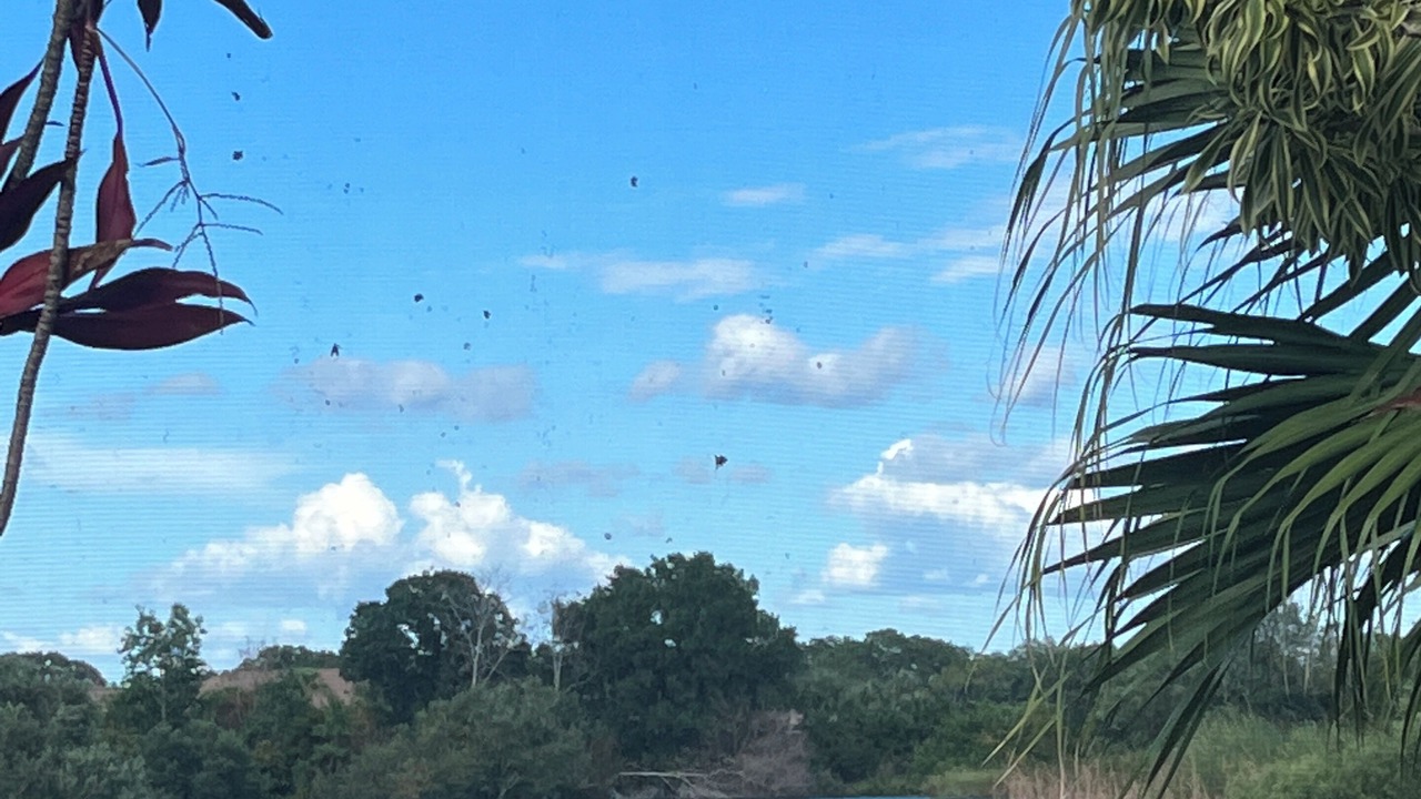 Photo of Others in Sarasota
