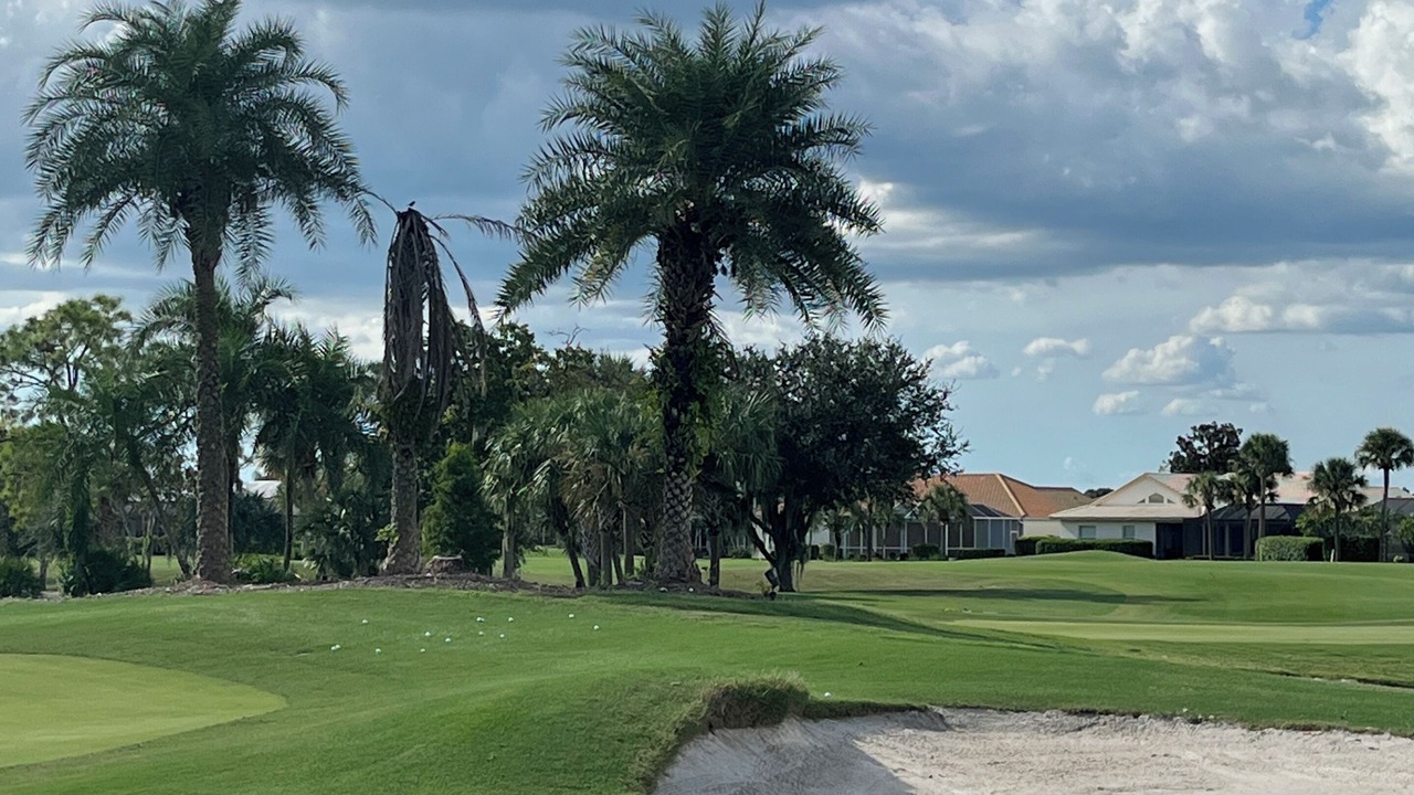 Photo of Others in Sarasota