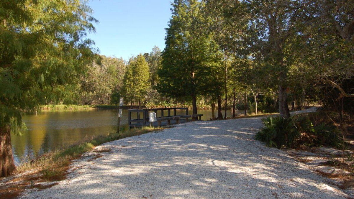 Photo of Outdoor in St. Petersburg