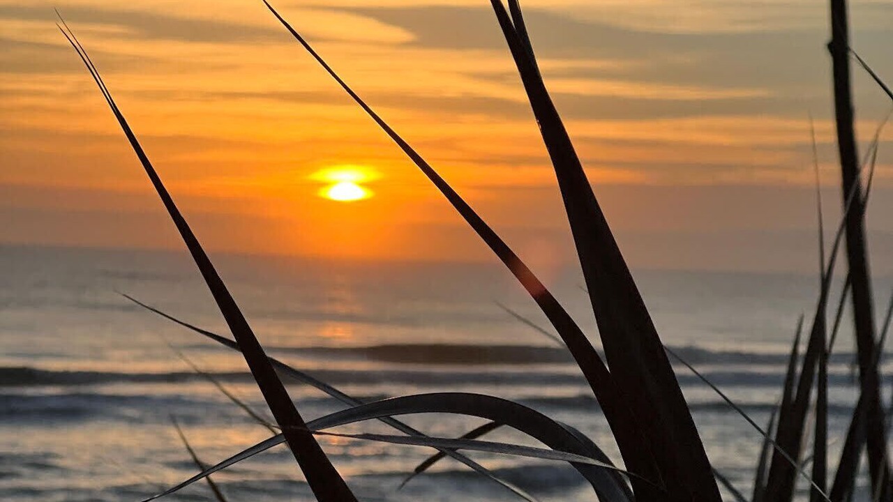 Photo of Others in Flagler Beach