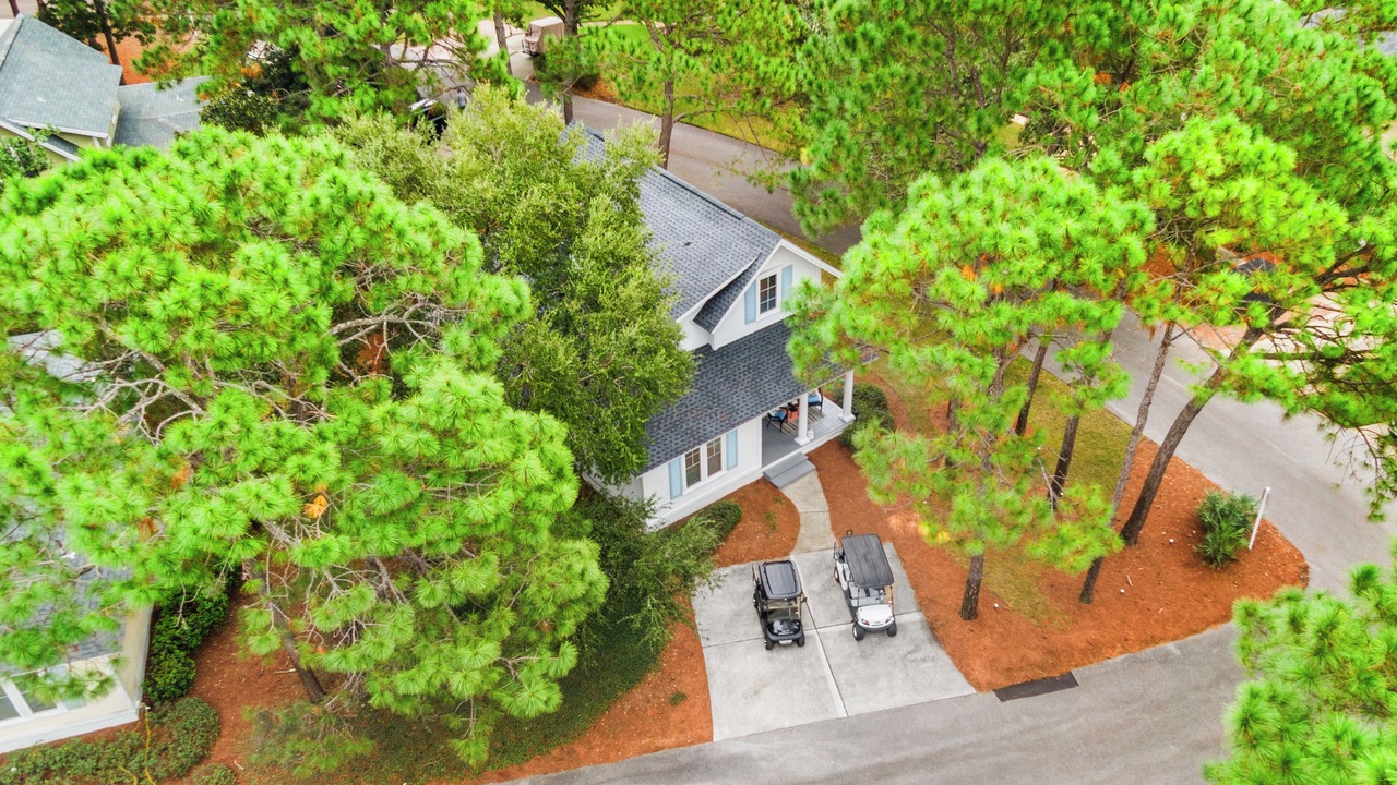 Photo of Outdoor in Laurel Grove