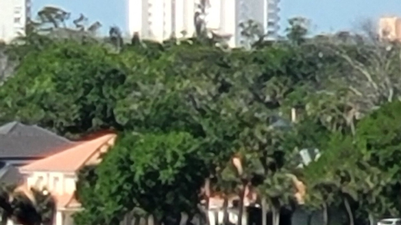 Photo of Others in Ormond-by-the-Sea
