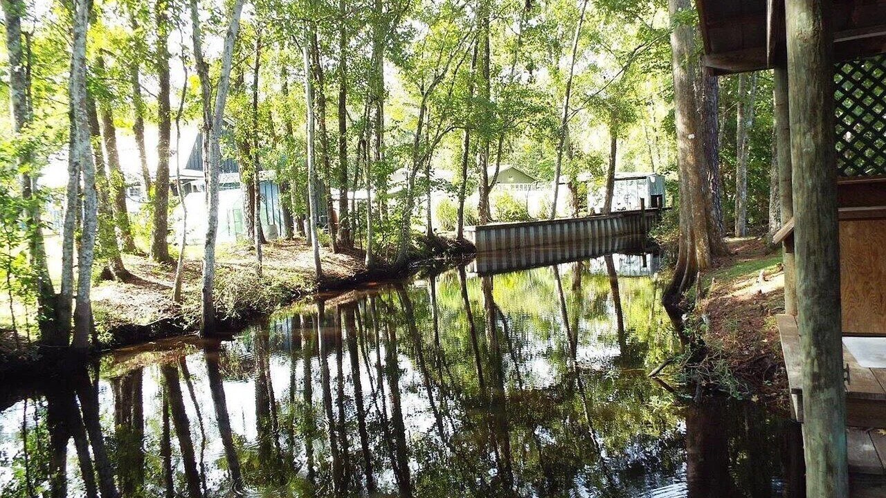 Photo of Others in Satsuma