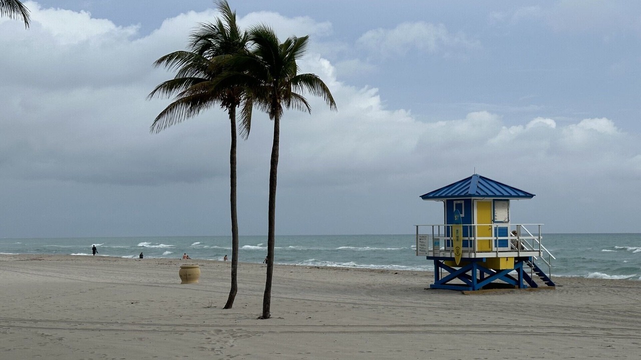 Photo of Others in Hollywood South Central Beach