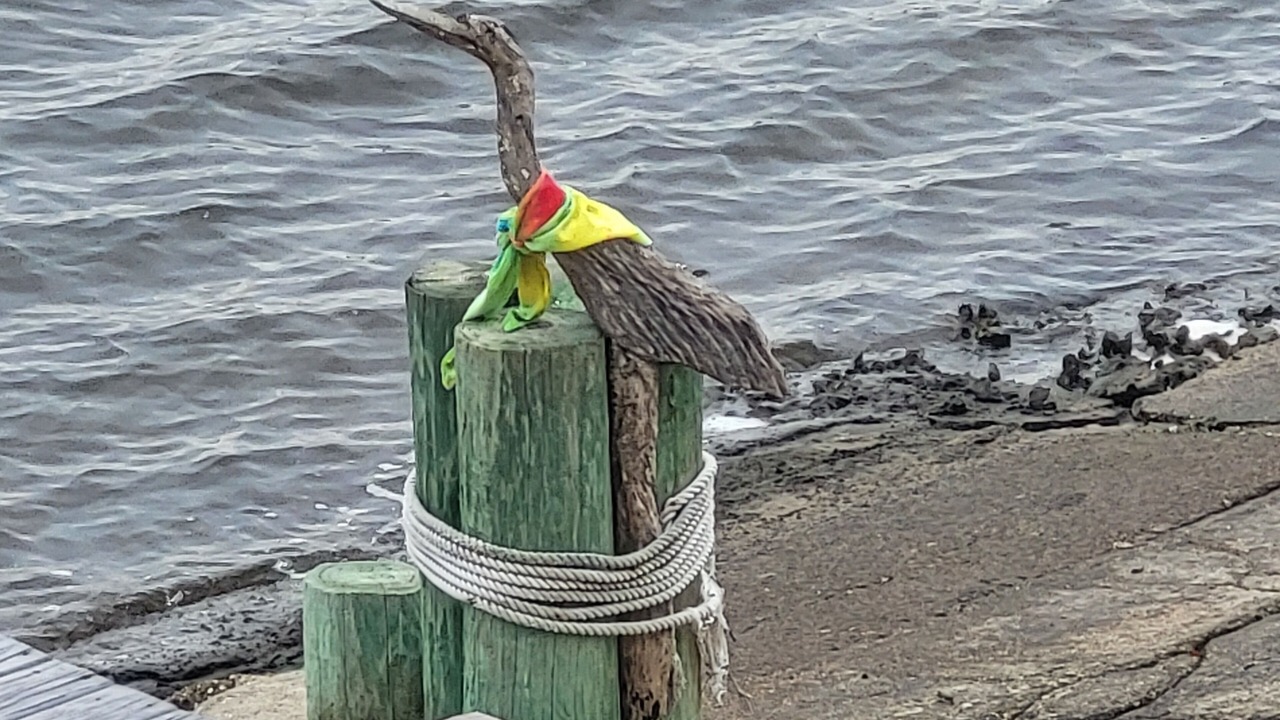 Photo of Others in Crystal River