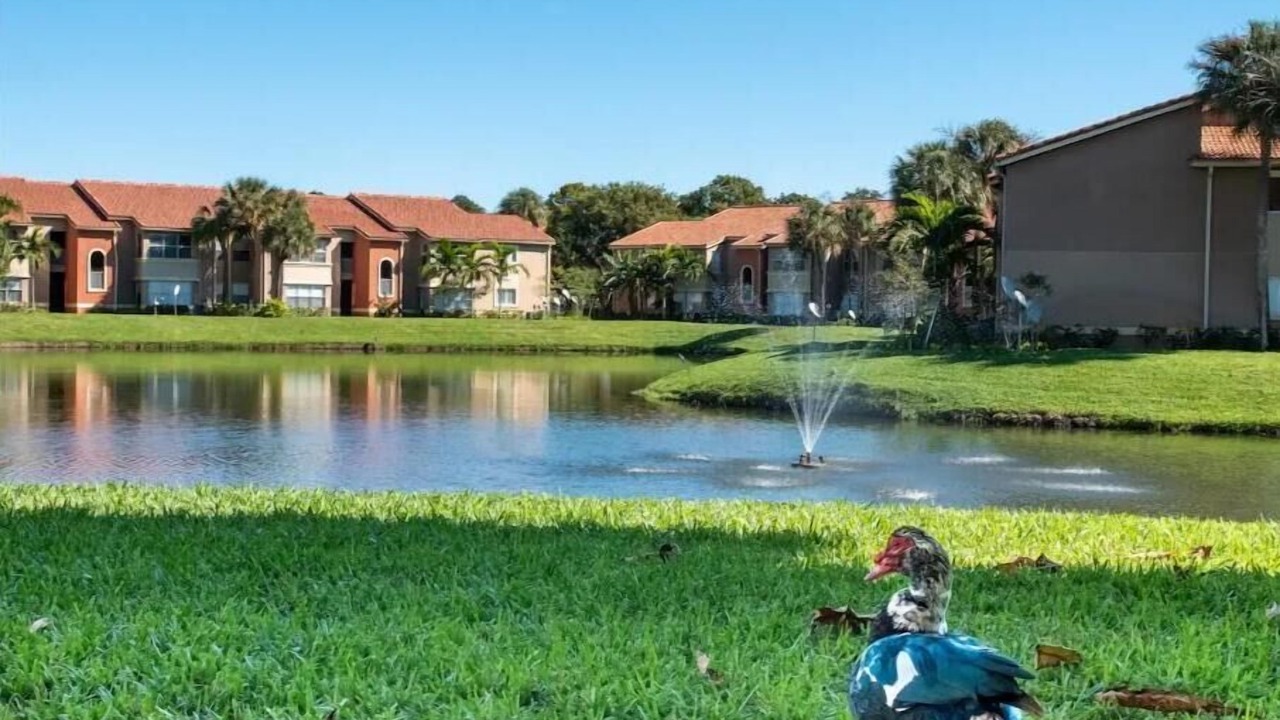 Photo of Outdoor in Deerfield Beach