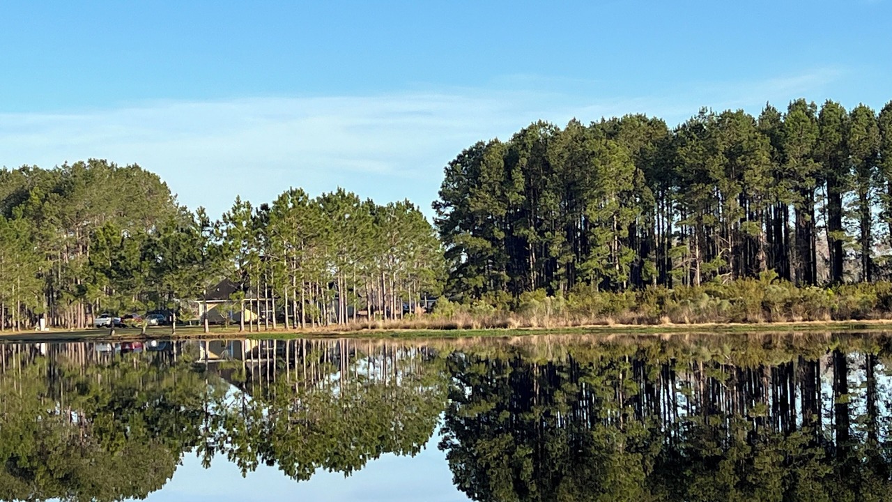 Photo of Others in Blackshear