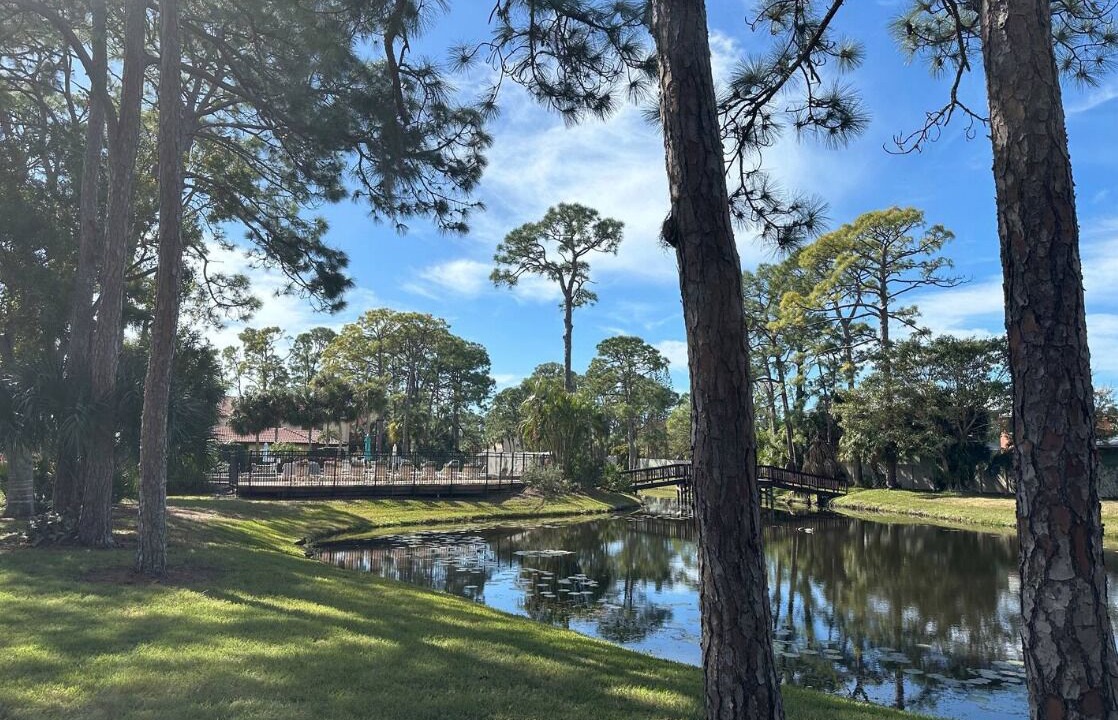 Photo of Outdoor in Sarasota
