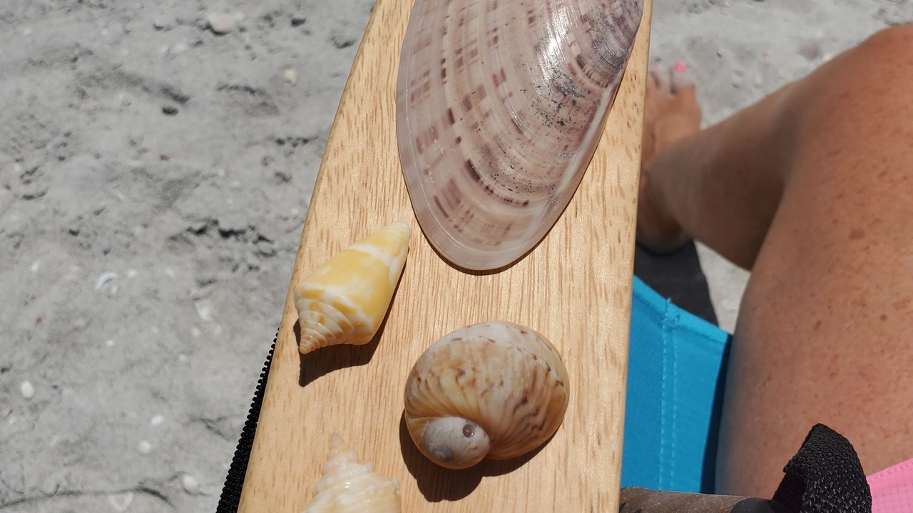 Photo of Others in Sanibel