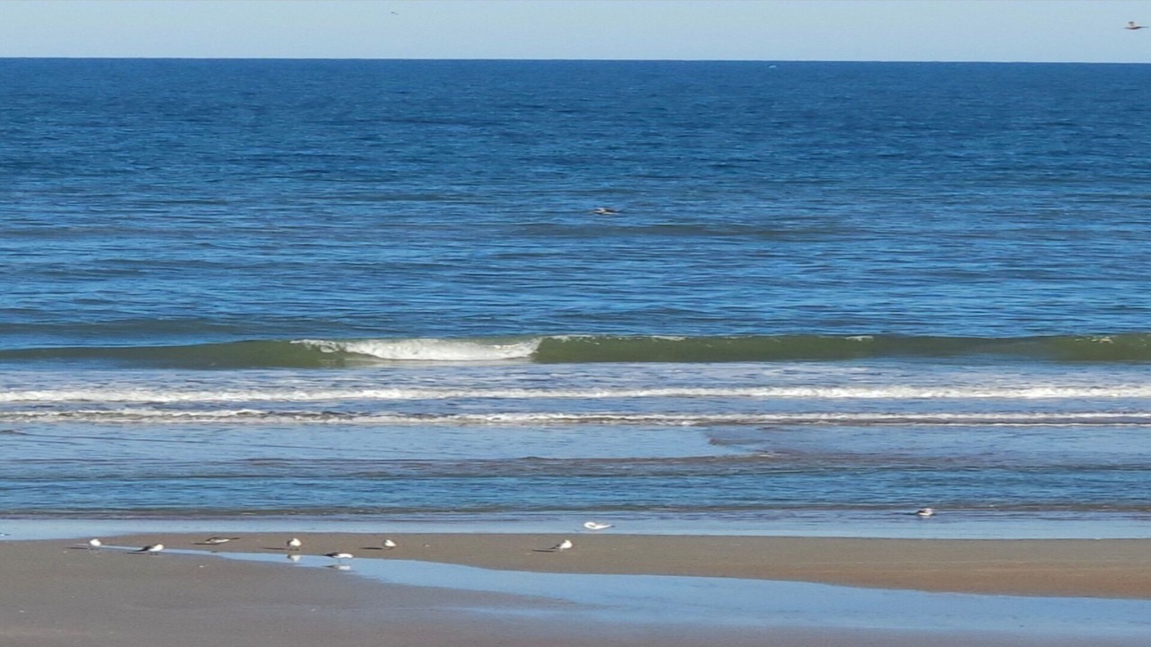 Photo of Others in East Daytona