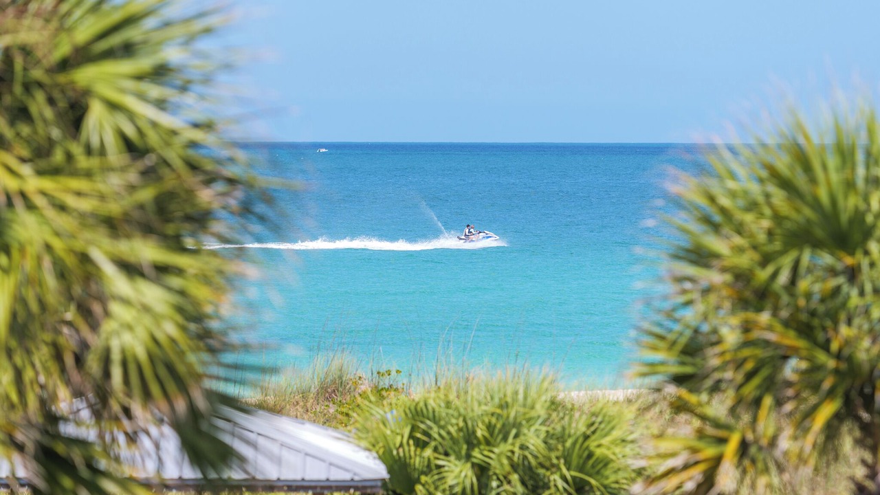 Photo of Others in Nokomis