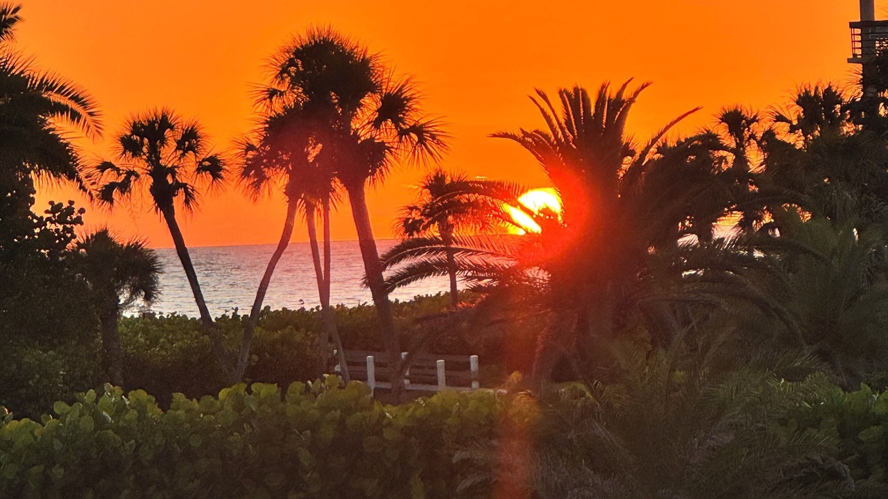 Photo of Outdoor in Longboat Key