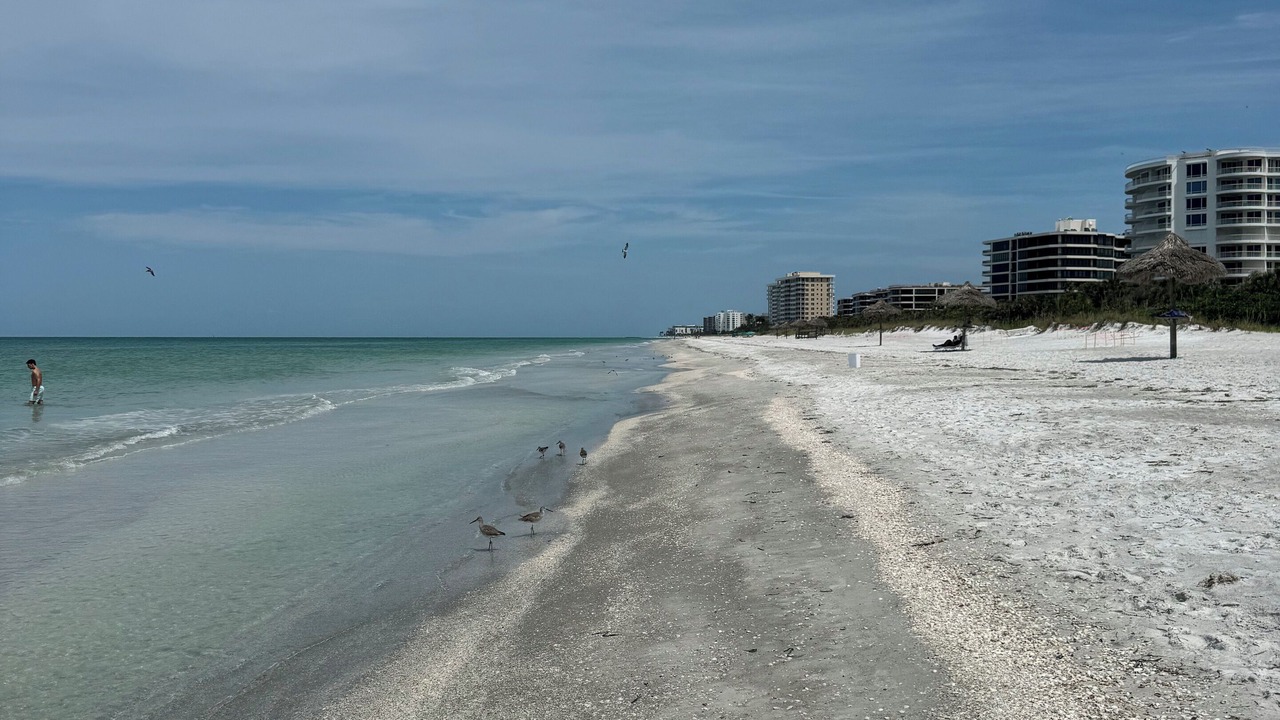 Photo of Others in Longboat Key
