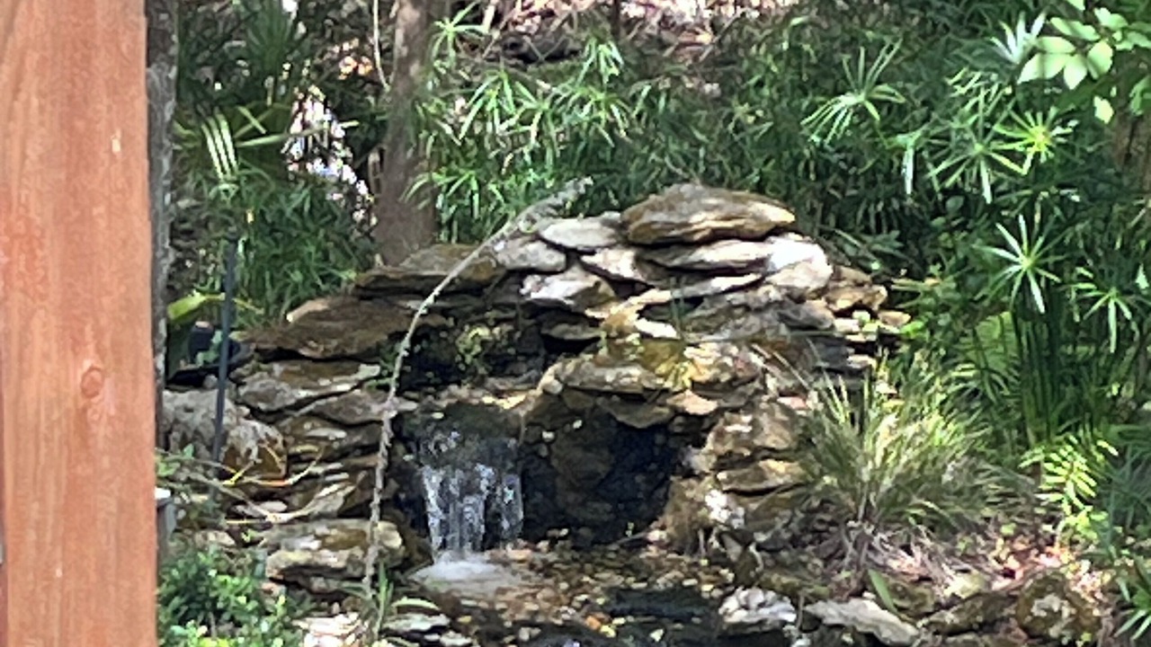 Photo of Outdoor in Homosassa