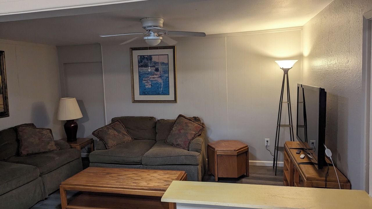 Photo of Livingroom in Nokomis